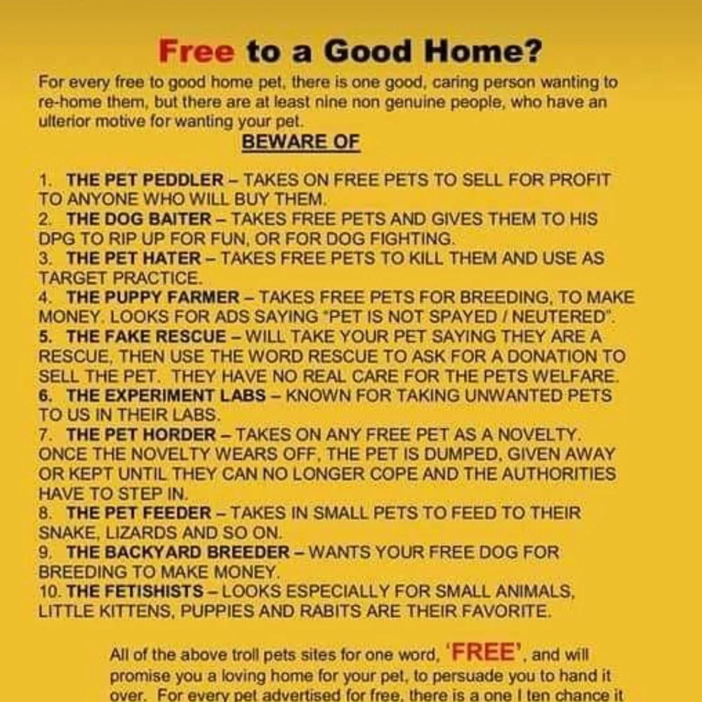 Free kittens are subject to neglect and abuse and much worse!